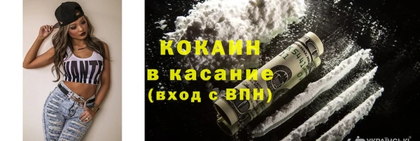 прущие грибы Балахна