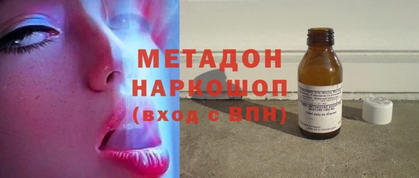 прущие грибы Балахна