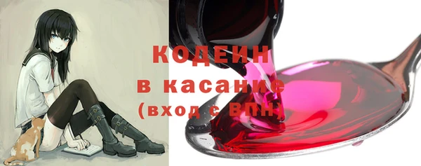 прущие грибы Балахна