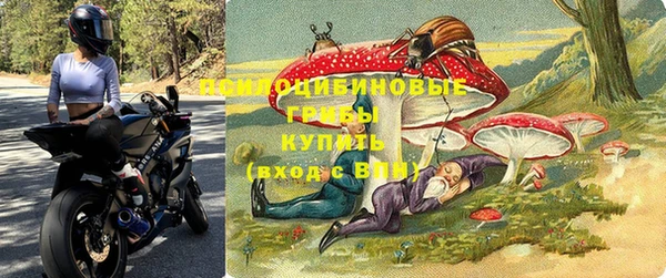 прущие грибы Балахна