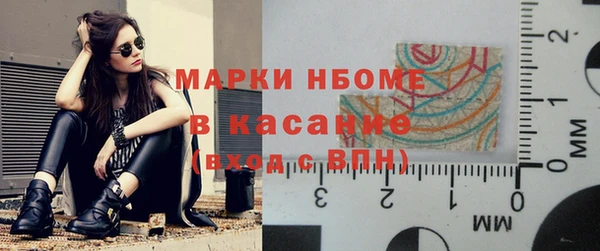 прущие грибы Балахна